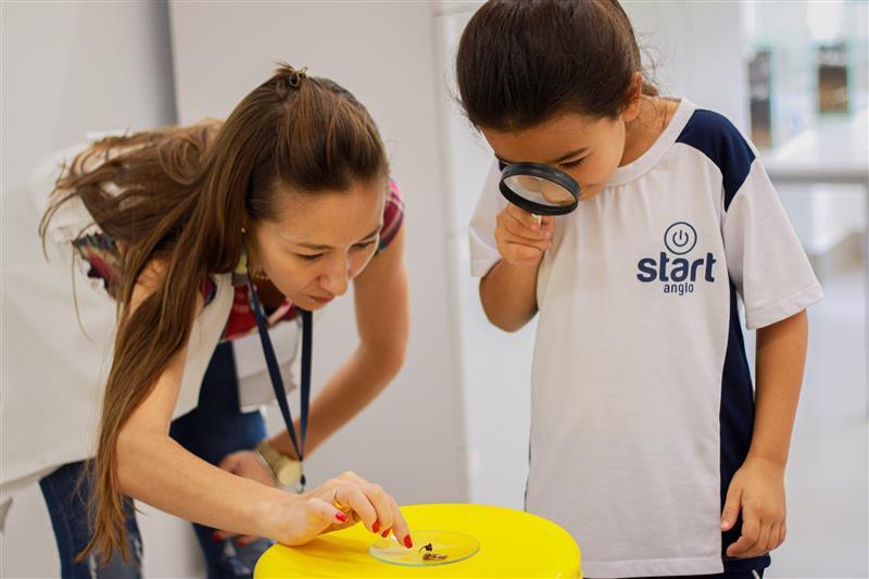 Ens. Fundamental - anos iniciais